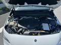 Mercedes-Benz B 200 200d 150ch AMG Line Edition 8G-DCT 7cv Wit - thumbnail 17
