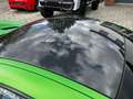 Mercedes-Benz AMG GT AMG GT R Coupe NEUZUSTAND Deutsch MWST. Verde - thumbnail 14