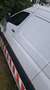 Mercedes-Benz Sprinter 316 NGT Sprinter 906.633 Aut. Weiß - thumbnail 2
