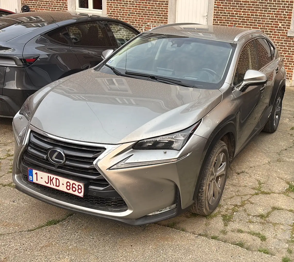 Lexus NX 300h Executive Line Beige - 2