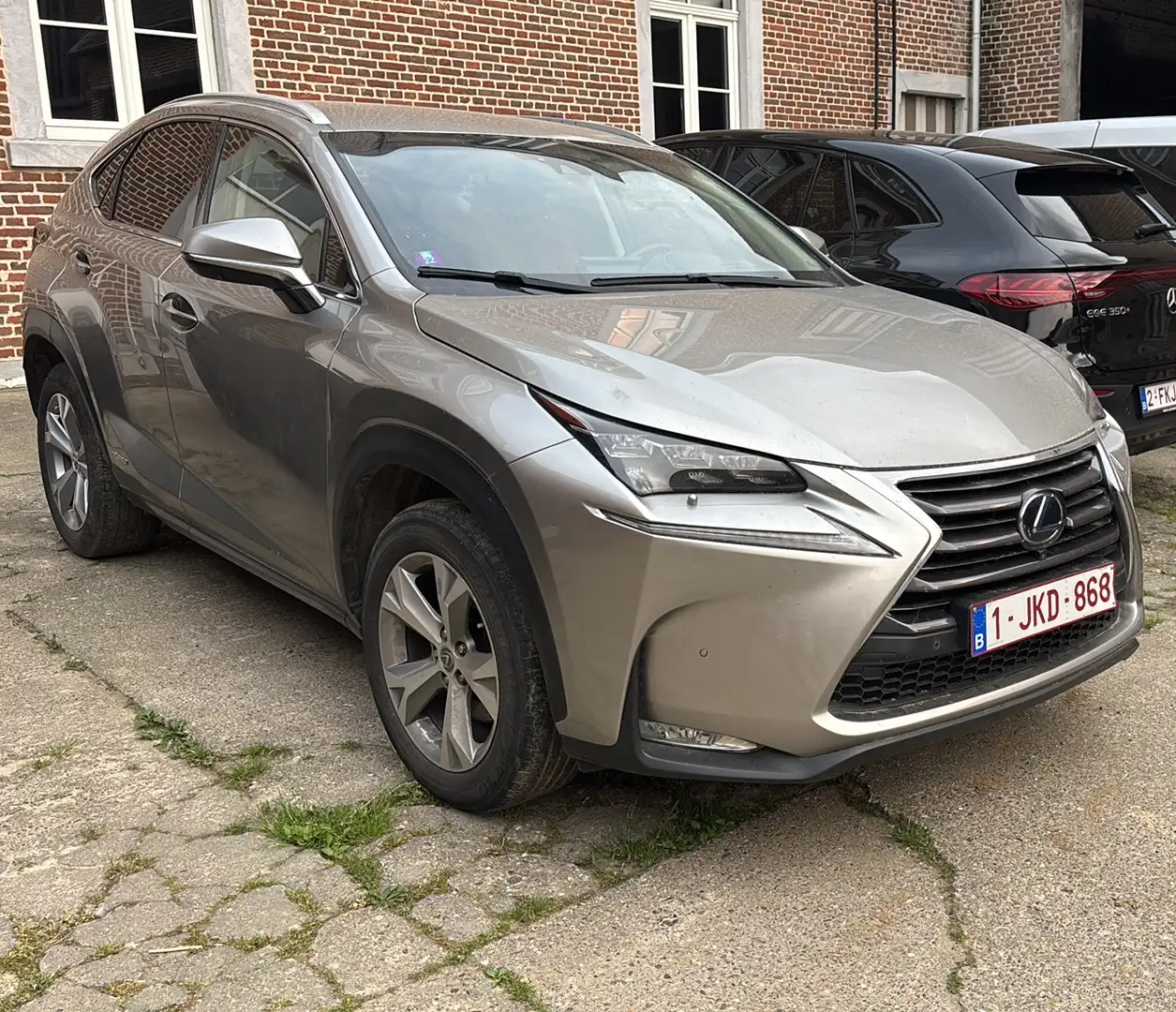 Lexus NX 300h Executive Line Beige - 1