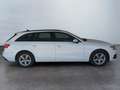 Audi A4 5ª serie Avant 35 TDI/163 CV S tronic Business Blanc - thumbnail 4