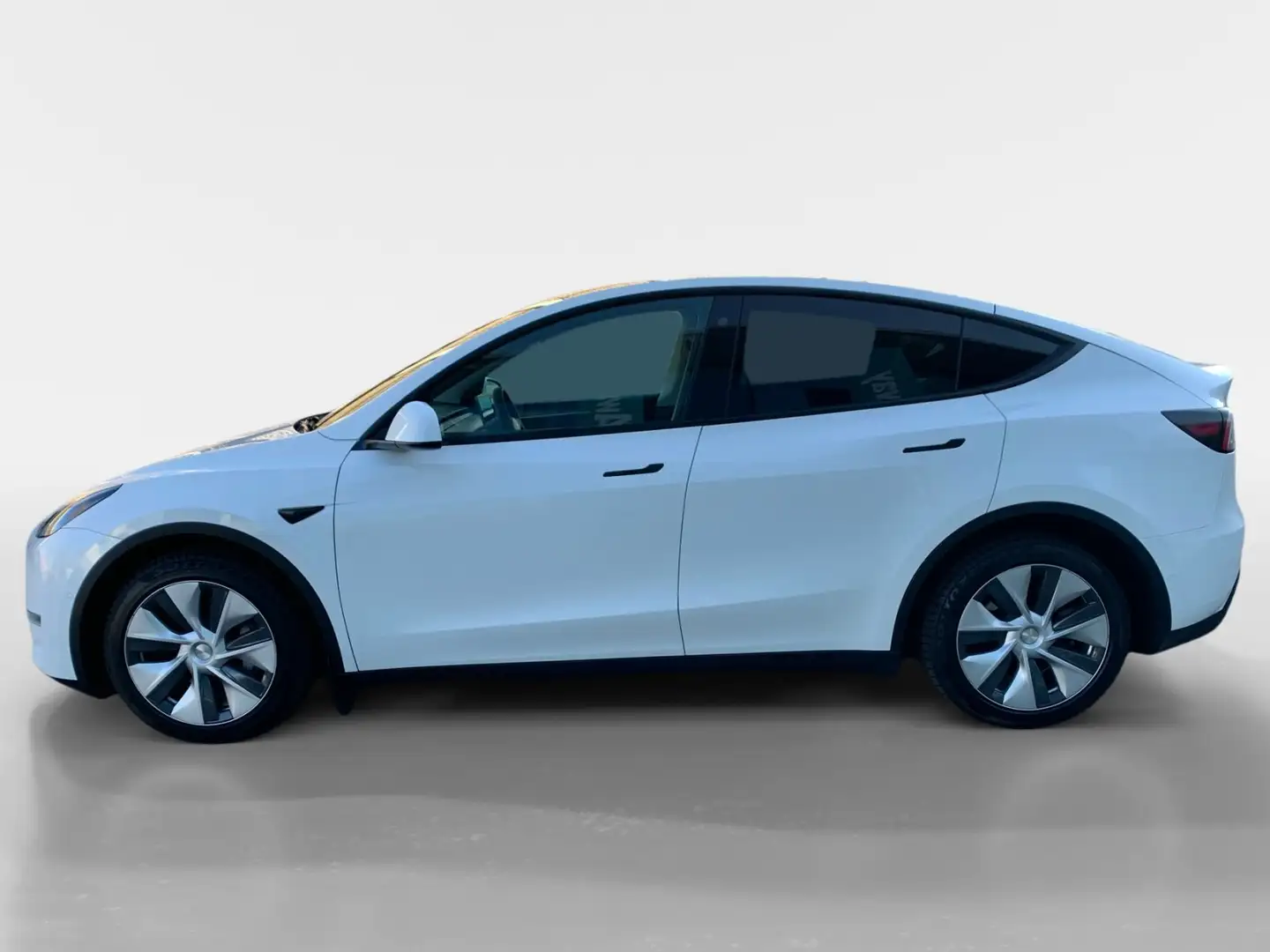 Tesla Model Y Long Range Dual AWD Blanc - 2