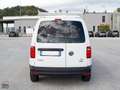 Volkswagen Caddy 2.0 TDI 110 CV 4MOTION ALLESTITO Bianco - thumbnail 5
