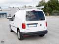 Volkswagen Caddy 2.0 TDI 110 CV 4MOTION ALLESTITO Bianco - thumbnail 4