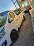 Opel Vivaro L1H1 1,6 BiTurbo CDTI Ecotec BI 2,9t S/S Edition Weiß - thumbnail 1