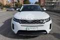 Land Rover Range Rover Evoque Range Rover Evoque 2.0D I4-L.Flw 150 CV Weiß - thumbnail 2