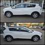 Hyundai BAYON FL 1.0 T-GDI (100 PS) 6-MT 2WD Select Alb - thumbnail 13