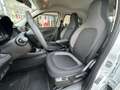 smart forFour smart forfour 17,6kWh passion Weiß - thumbnail 14
