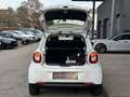 smart forFour smart forfour 17,6kWh passion Weiß - thumbnail 7