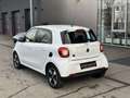 smart forFour smart forfour 17,6kWh passion Weiß - thumbnail 5