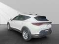 CUPRA Formentor 1.5 Navi*LED*Winter*CarPlay*ACC*Kessy Weiß - thumbnail 4