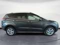 Ford Kuga Kuga 1.5 120 CV S&S Business Grau - thumbnail 8
