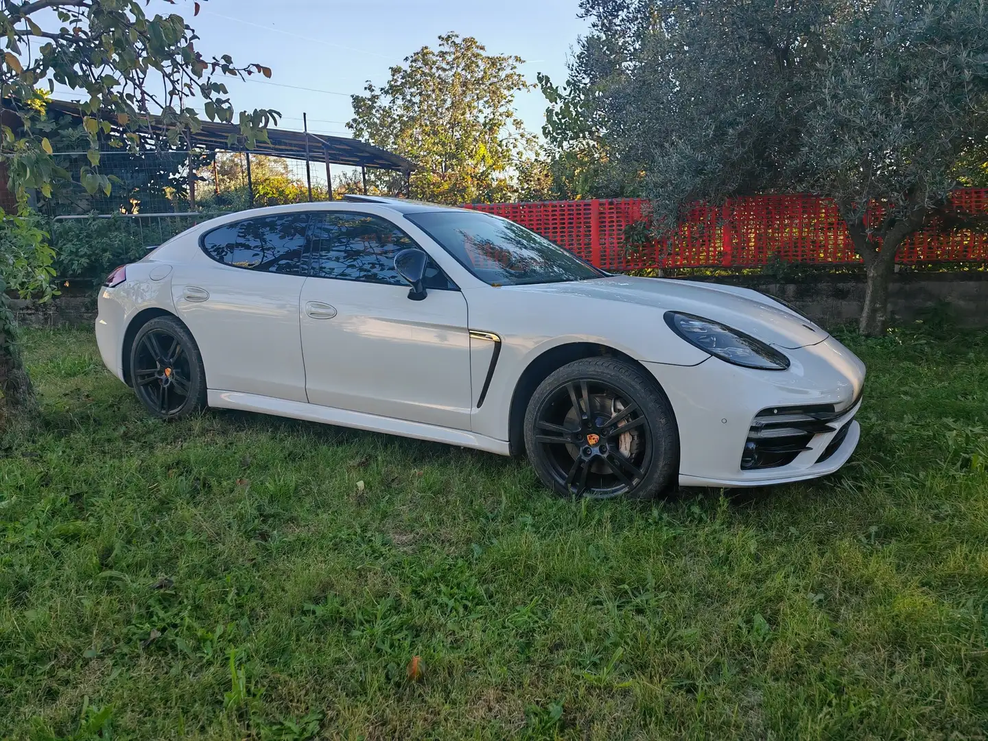 Porsche Panamera 4.8 4S - 2