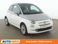 Fiat 500C 1.0 Mild-Hybrid Dolcevita*PDC*CABRIO*KLIMA*TEMPO* Weiß - thumbnail 8