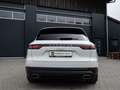 Porsche Cayenne E-Hybrid / 1. Hand / MwSt. / Top Zustand Bianco - thumbnail 11