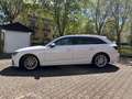 Audi A4 A4 Avant Diesel Avant 40 TDI S tronic quattro Weiß - thumbnail 3
