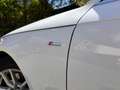 Audi A4 A4 Avant Diesel Avant 40 TDI S tronic quattro Weiß - thumbnail 13