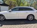 Audi A4 A4 Avant Diesel Avant 40 TDI S tronic quattro Weiß - thumbnail 2