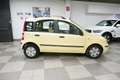 Fiat Panda 1.2 Dynamic Gelb - thumbnail 3