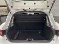 Renault Clio 1.5dCi Energy Business 55kW Blanco - thumbnail 13