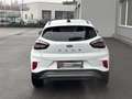 Ford Puma 1,0 EcoBoost Hybrid Titanium Weiß - thumbnail 5