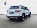 Volkswagen Tiguan 2,0 TDI Highline 4M LED AHK StHz Kamera Bianco - thumbnail 3