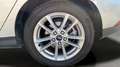 Ford Focus 1.0 Ecoboost Auto-S&S Trend+ Aut. 125 Gris - thumbnail 20
