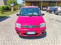 Fiat Panda 1.2 Dynamic Class eco Rosso - thumbnail 5