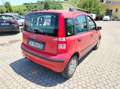 Fiat Panda 1.2 Dynamic Class eco Rosso - thumbnail 3