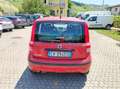 Fiat Panda 1.2 Dynamic Class eco Rosso - thumbnail 6
