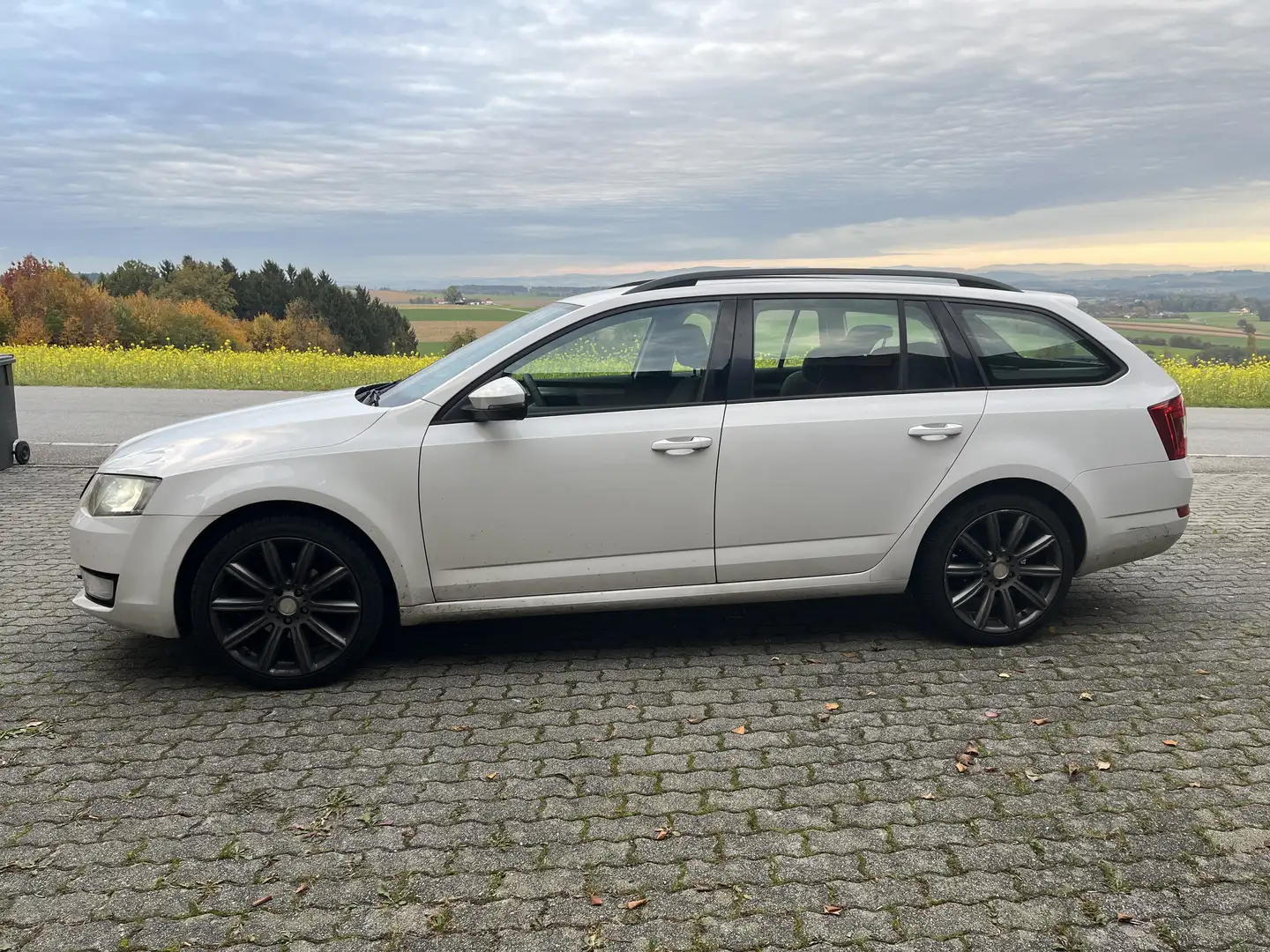 Skoda Octavia Combi 1,6 Active TDI - 1