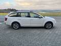 Skoda Octavia Combi 1,6 Active TDI - thumbnail 2