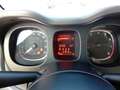 Fiat Panda 1.0 firefly hybrid 70 CV City Cross PREZZO VERO Grigio - thumbnail 10