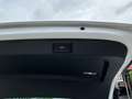 Skoda Superb Kombi 2,0 TDI 4x4 Sportline DSG/AHK/V.COCKPIT/L... Weiß - thumbnail 20