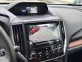 Subaru Forester 2,0i e-Boxer Premium AWD Aut. Grau - thumbnail 26