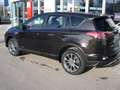 Toyota RAV 4 RAV4 Hybrid 2.5 4x2 Hybrid Edition Braun - thumbnail 4