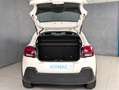 Citroen C3 1.2 PURETECH 83CV SHINE MAX Bianco - thumbnail 14