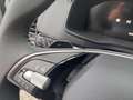 Skoda Karoq 1.5 TSI DSG Selection 130Jahre 4J.Gar. AHK Kamera Grau - thumbnail 11