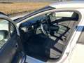Citroen C3 PureTech 82 S&S Bianco - thumbnail 10