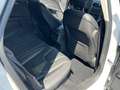 Ford Mondeo Turnier 2.0 TDCi Start-Stopp PowerShift-Aut Trend Білий - thumbnail 8