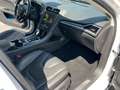 Ford Mondeo Turnier 2.0 TDCi Start-Stopp PowerShift-Aut Trend Білий - thumbnail 7