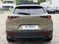 Mazda CX-30 e-Skyactive G122 Nagisa *BOSE* ACC* CARPLAY* Grün - thumbnail 4
