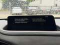 Mazda CX-30 e-Skyactive G122 Nagisa *BOSE* ACC* CARPLAY* Grün - thumbnail 26