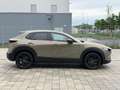 Mazda CX-30 e-Skyactive G122 Nagisa *BOSE* ACC* CARPLAY* Grün - thumbnail 7