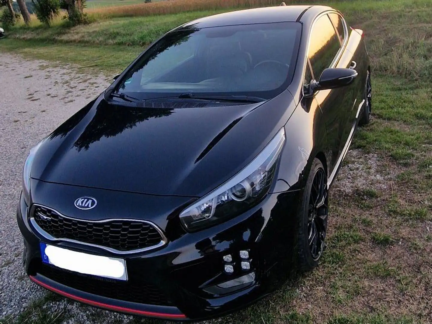 Kia ProCeed / pro_cee'd pro Ceed 1.6 T-GDI GT-Challenge Schwarz - 1