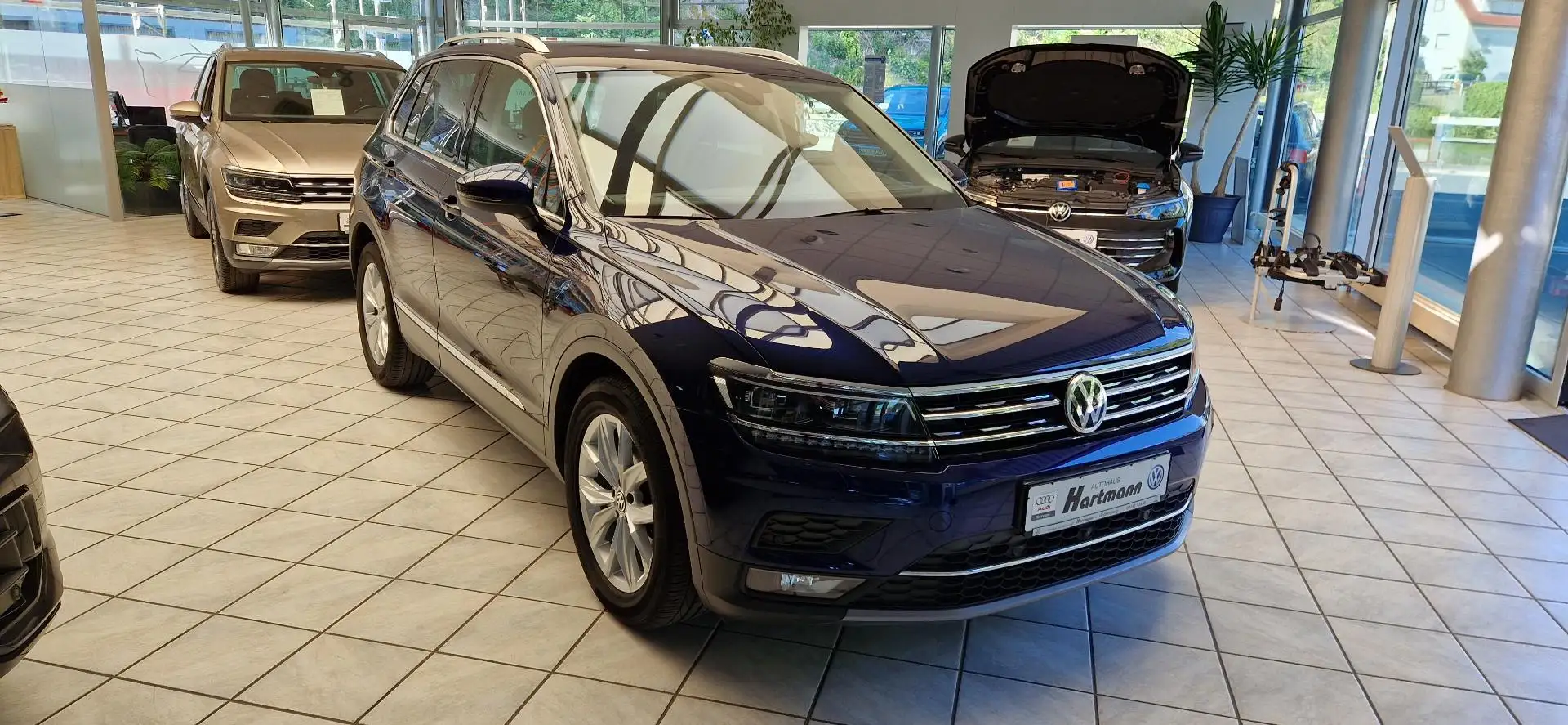 Volkswagen Tiguan Highline 2,0TDI Navi LED ergoAktive AreaView Assistenzpaket Blau - 2