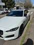 Jaguar XE XE 2.0 Turbo 240 CV aut. R-Sport Blanc - thumbnail 3