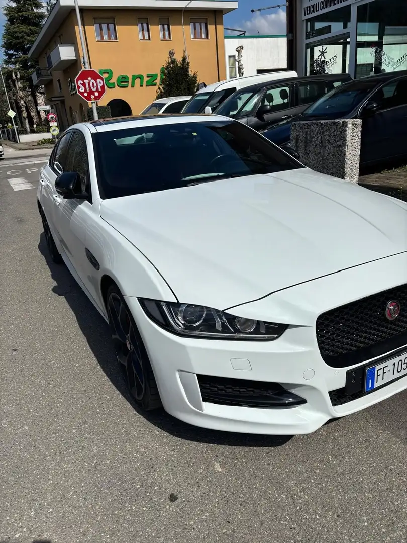 Jaguar XE XE 2.0 Turbo 240 CV aut. R-Sport Bianco - 2