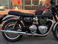 Triumph Bonneville T120 ELVIS PRESLEY numerata 734/925 Rosso - thumbnail 7